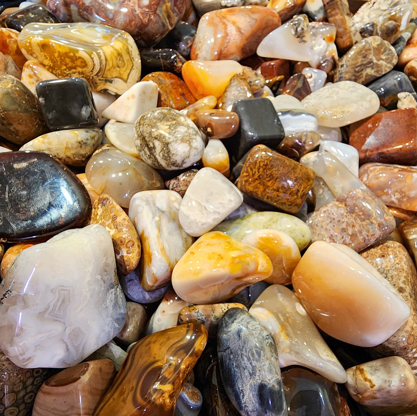 Matthews Mystery Polished Rocks.