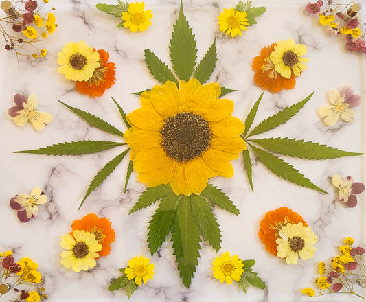 Pressed plant plaque.