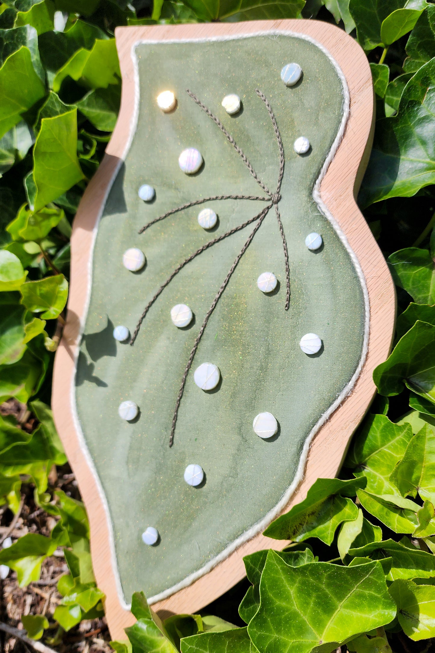 Spotted Begonia