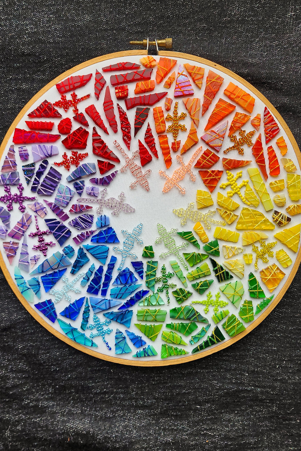 Meeting of the  Rainbow Lizards