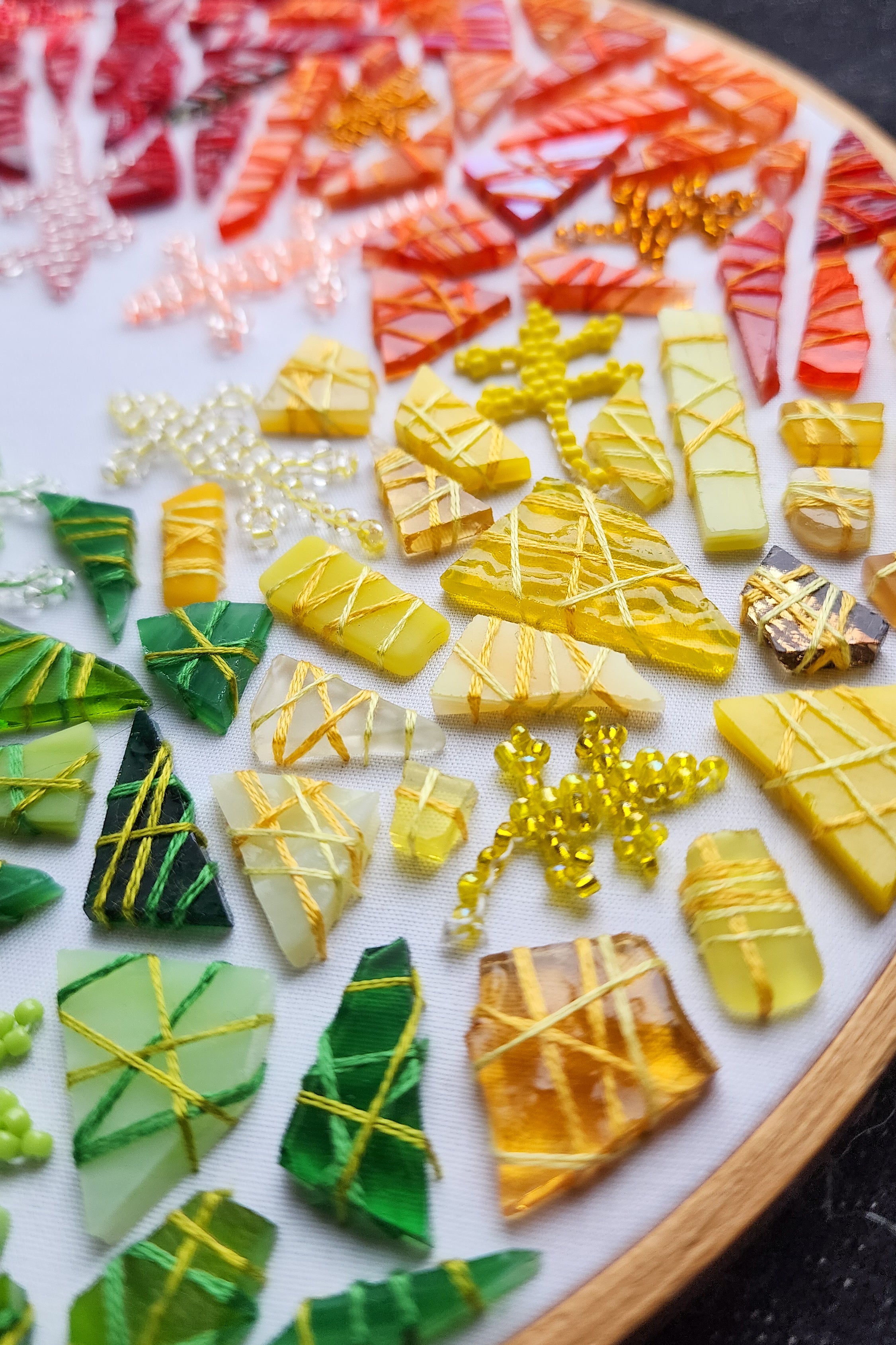 Meeting of the  Rainbow Lizards