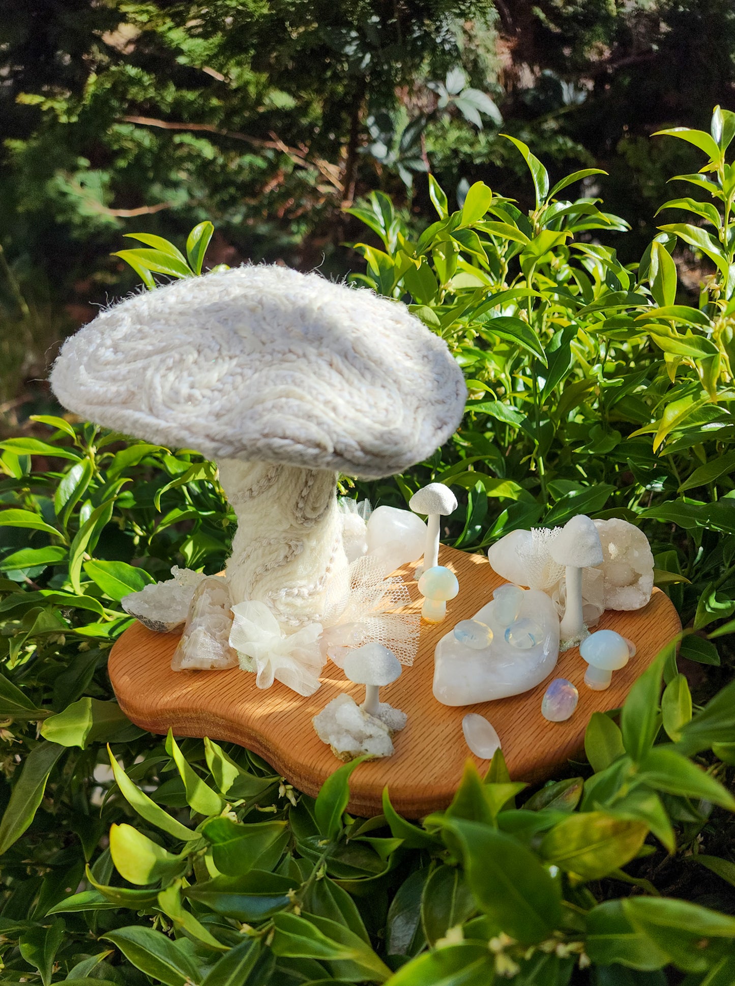 Magic Mushrooms