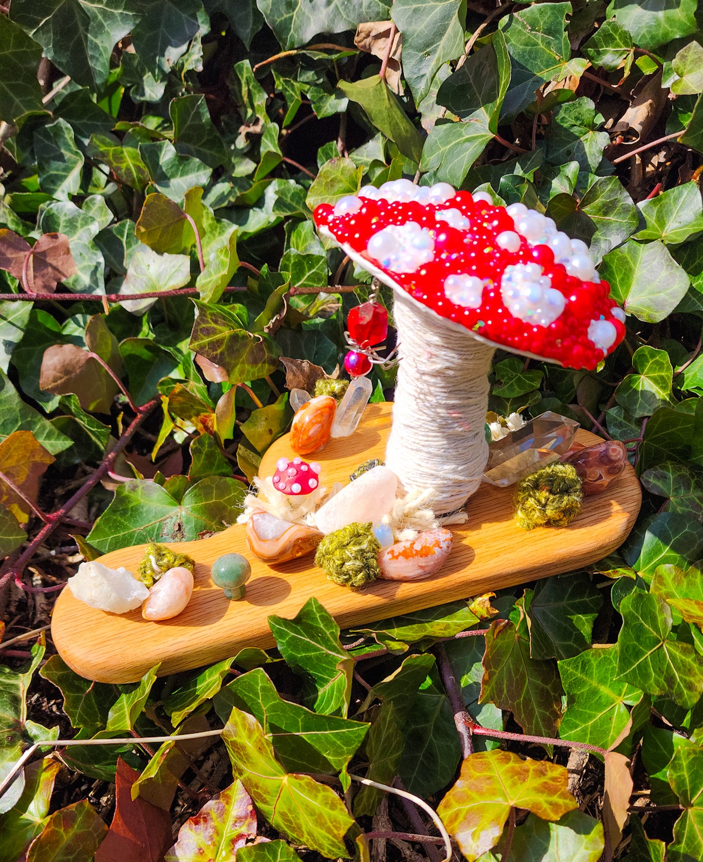 Magic Mushrooms
