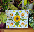Pressed plant plaque.