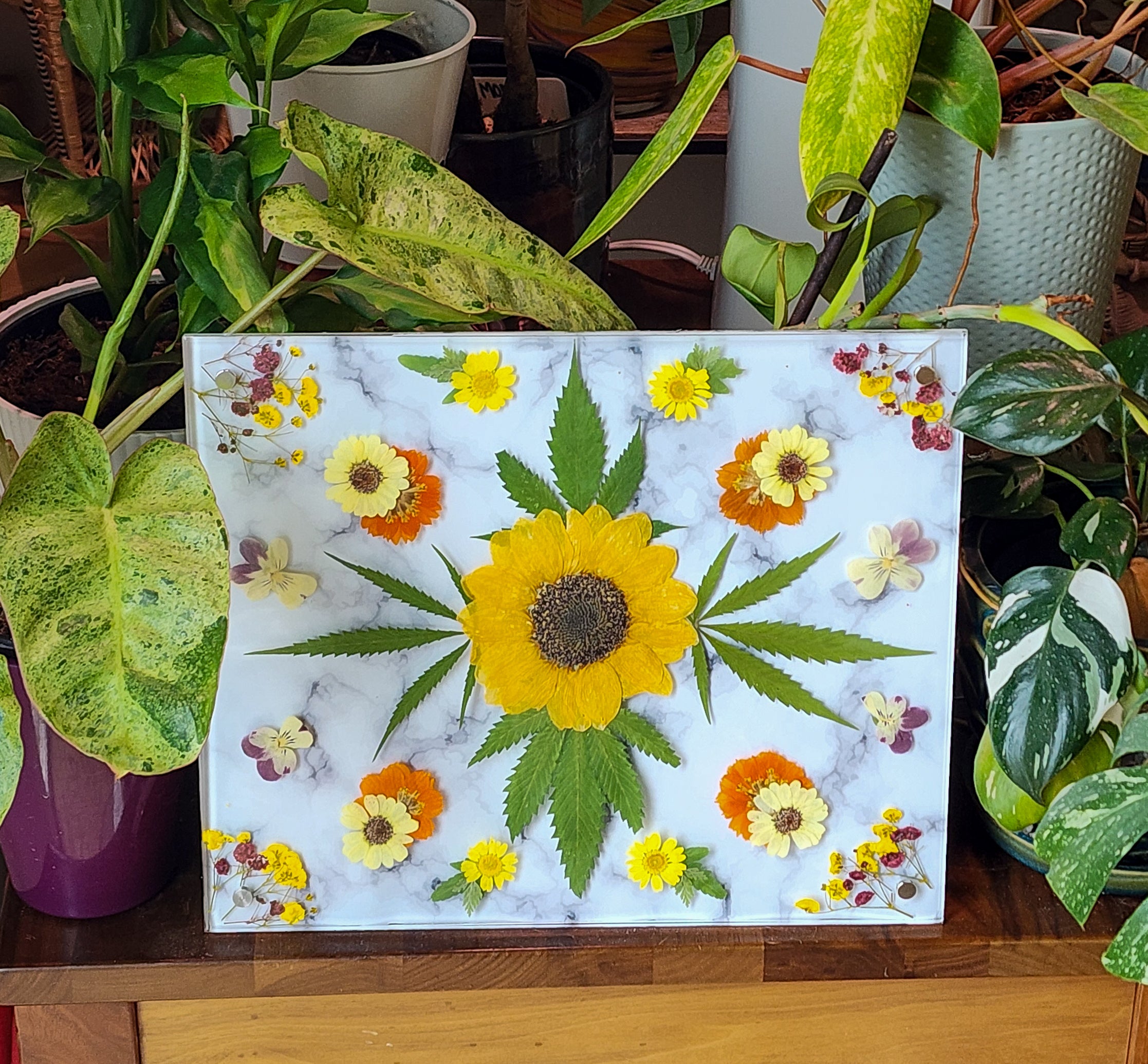 Pressed plant plaque.