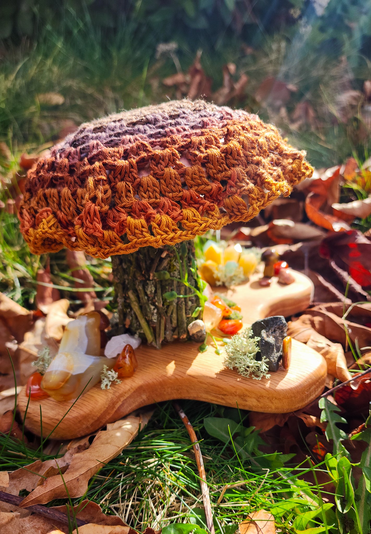 Magic Mushrooms